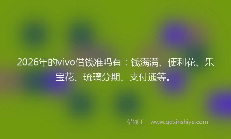 2026年的vivo借钱准吗有：钱满满、便利花、乐宝花、琉璃分期、支付通等。