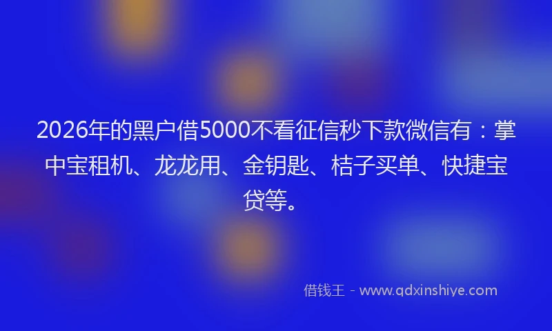 2026年的黑户借5000不看征信秒下款微信有：掌中宝租机、龙龙用、金钥匙、桔子买单、快捷宝贷等。