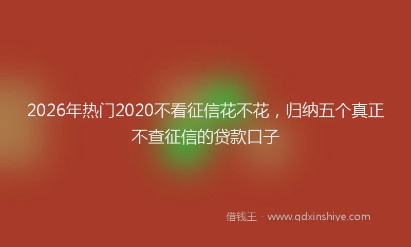 2026年热门2020不看征信花不花，归纳五个真正不查征信的贷款口子