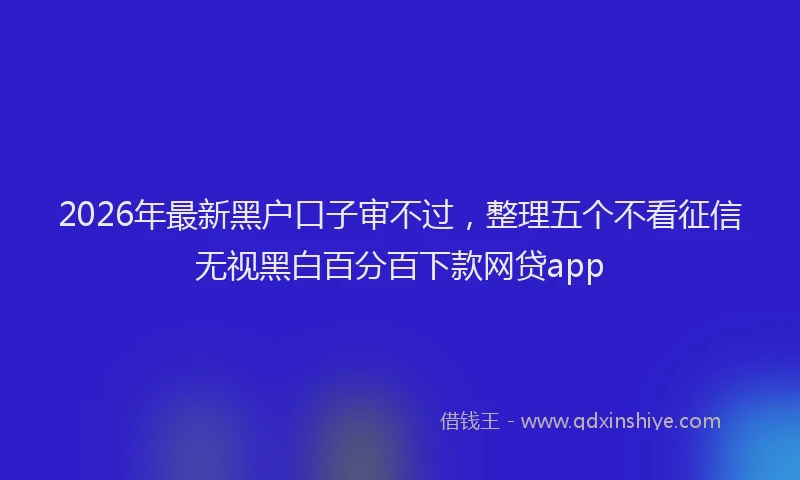 2026年最新黑户口子审不过，整理五个不看征信无视黑白百分百下款网贷app