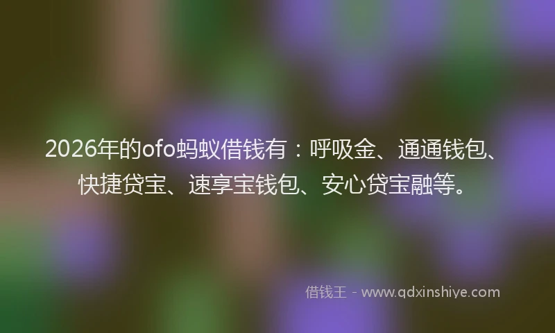 2026年的ofo蚂蚁借钱有：呼吸金、通通钱包、快捷贷宝、速享宝钱包、安心贷宝融等。