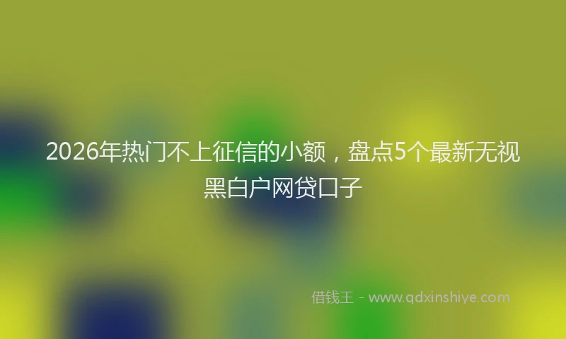 2026年热门不上征信的小额，盘点5个最新无视黑白户网贷口子