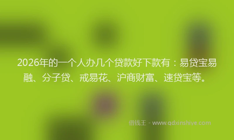 2026年的一个人办几个贷款好下款有：易贷宝易融、分子贷、戒易花、沪商财富、速贷宝等。