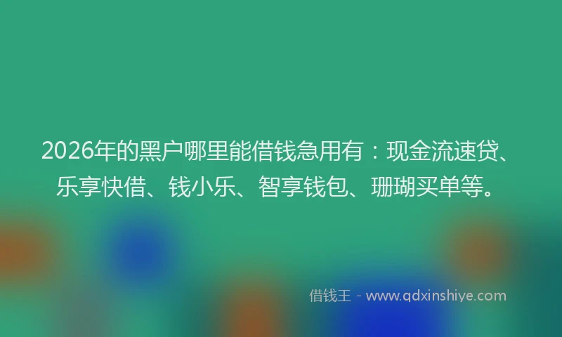 2026年的黑户哪里能借钱急用有：现金流速贷、乐享快借、钱小乐、智享钱包、珊瑚买单等。