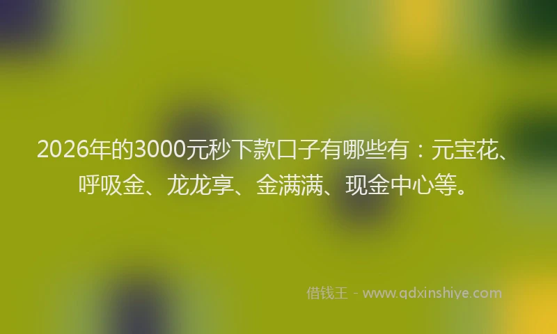 2026年的3000元秒下款口子有哪些有：元宝花、呼吸金、龙龙享、金满满、现金中心等。
