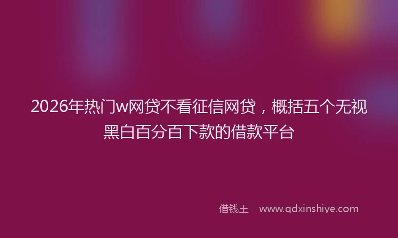 2026年热门w网贷不看征信网贷，概括五个无视黑白百分百下款的借款平台