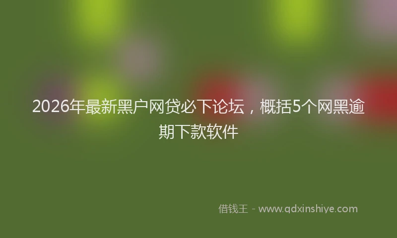 2026年最新黑户网贷必下论坛，概括5个网黑逾期下款软件