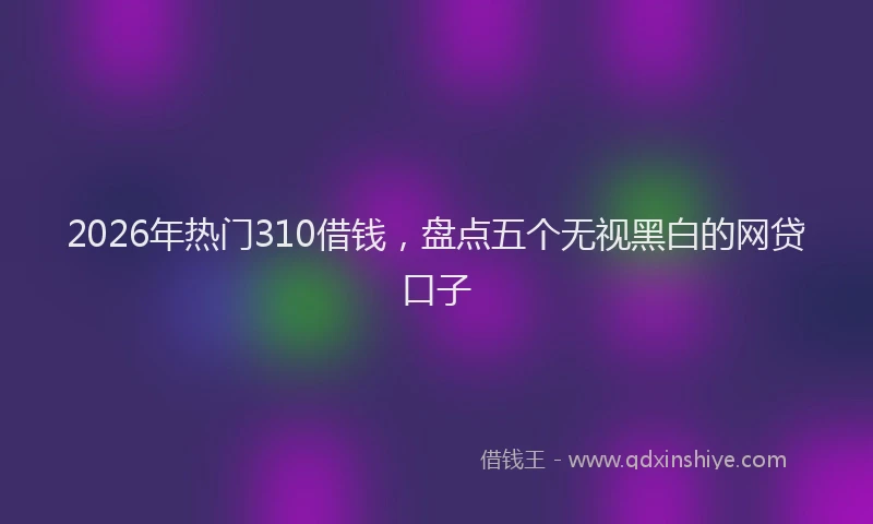 2026年热门310借钱，盘点五个无视黑白的网贷口子