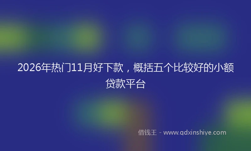 2026年热门11月好下款，概括五个比较好的小额贷款平台