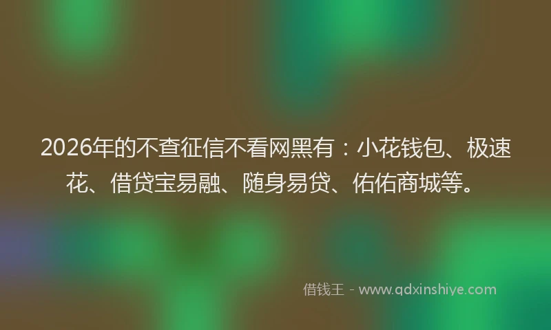 2026年的不查征信不看网黑有：小花钱包、极速花、借贷宝易融、随身易贷、佑佑商城等。