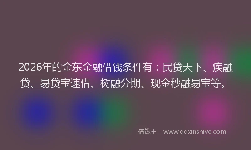 2026年的金东金融借钱条件有：民贷天下、疾融贷、易贷宝速借、树融分期、现金秒融易宝等。