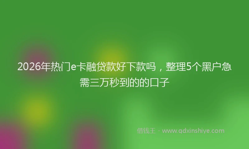 2026年热门e卡融贷款好下款吗，整理5个黑户急需三万秒到的的口子