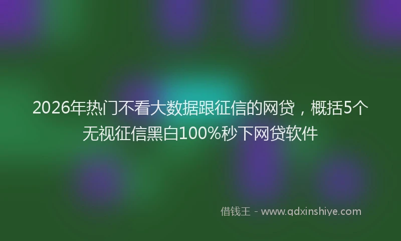 2026年热门不看大数据跟征信的网贷，概括5个无视征信黑白100%秒下网贷软件