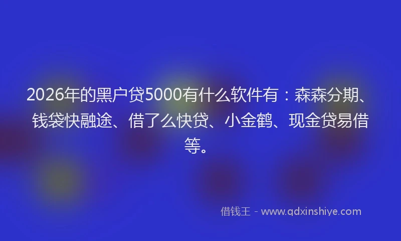 2026年的黑户贷5000有什么软件有：森森分期、钱袋快融途、借了么快贷、小金鹤、现金贷易借等。