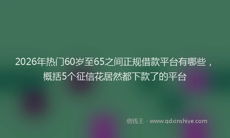 2026年热门60岁至65之间正规借款平台有哪些，概括5个征信花居然都下款了的平台