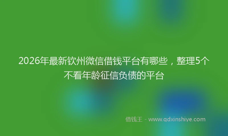 2026年最新钦州微信借钱平台有哪些，整理5个不看年龄征信负债的平台