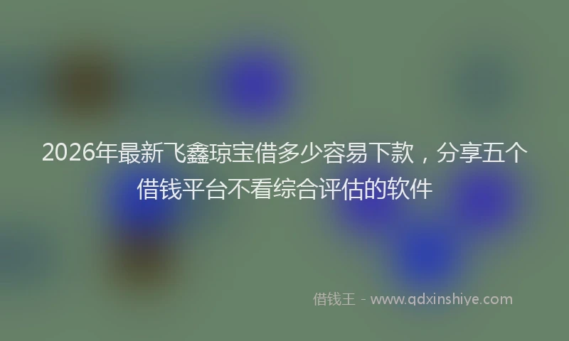 2026年最新飞鑫琼宝借多少容易下款，分享五个借钱平台不看综合评估的软件