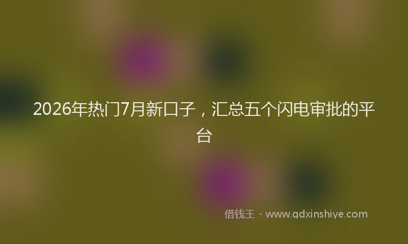 2026年热门7月新口子，汇总五个闪电审批的平台