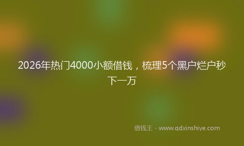 2026年热门4000小额借钱，梳理5个黑户烂户秒下一万