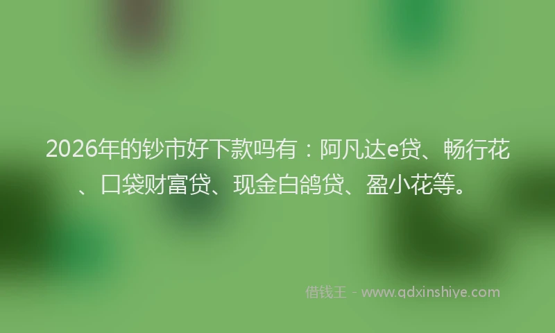 2026年的钞市好下款吗有：阿凡达e贷、畅行花、口袋财富贷、现金白鸽贷、盈小花等。