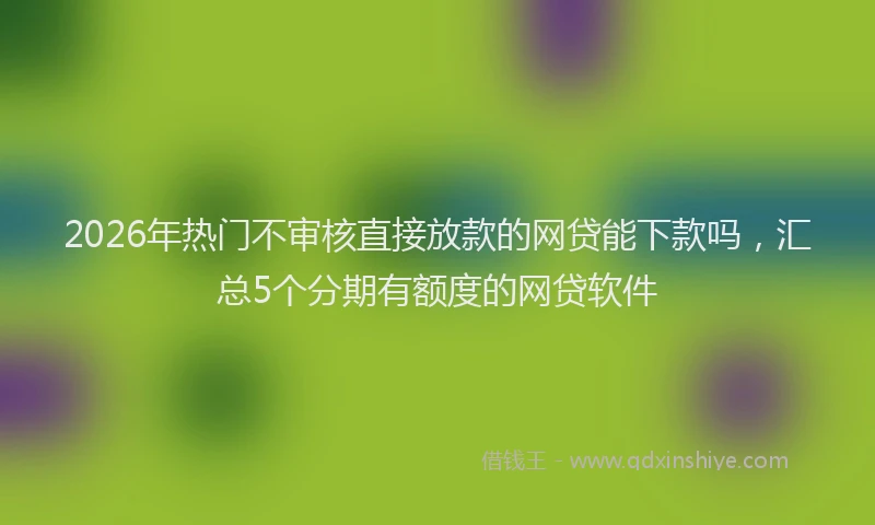 2026年热门不审核直接放款的网贷能下款吗，汇总5个分期有额度的网贷软件