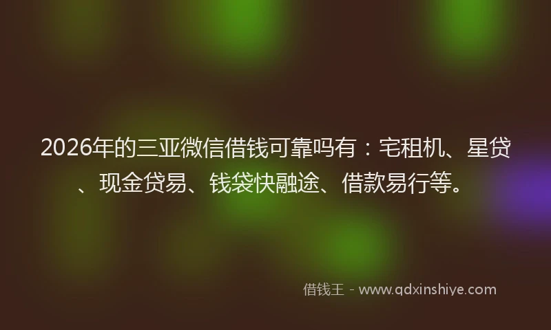 2026年的三亚微信借钱可靠吗有：宅租机、星贷、现金贷易、钱袋快融途、借款易行等。