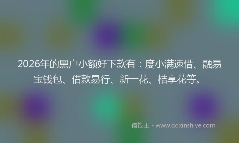 2026年的黑户小额好下款有：度小满速借、融易宝钱包、借款易行、新一花、桔享花等。