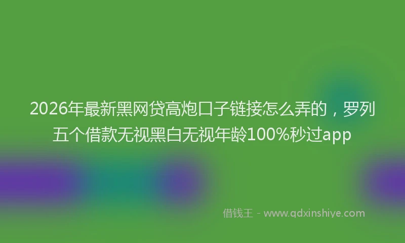 2026年最新黑网贷高炮口子链接怎么弄的，罗列五个借款无视黑白无视年龄100%秒过app