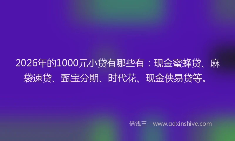 2026年的1000元小贷有哪些有：现金蜜蜂贷、麻袋速贷、甄宝分期、时代花、现金侠易贷等。