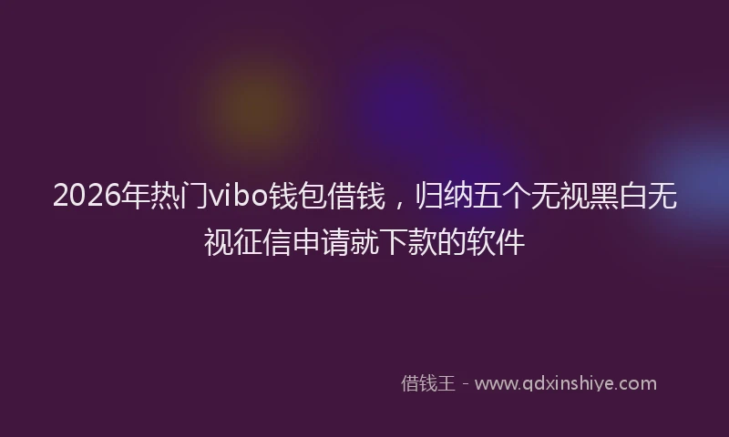 2026年热门vibo钱包借钱，归纳五个无视黑白无视征信申请就下款的软件
