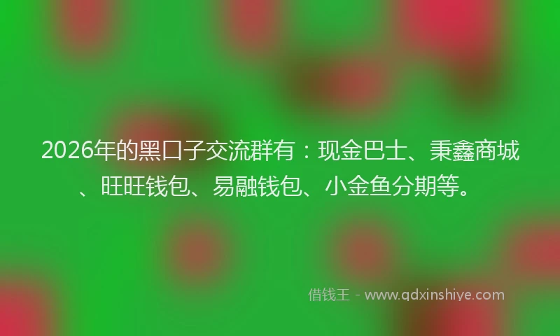 2026年的黑口子交流群有：现金巴士、秉鑫商城、旺旺钱包、易融钱包、小金鱼分期等。