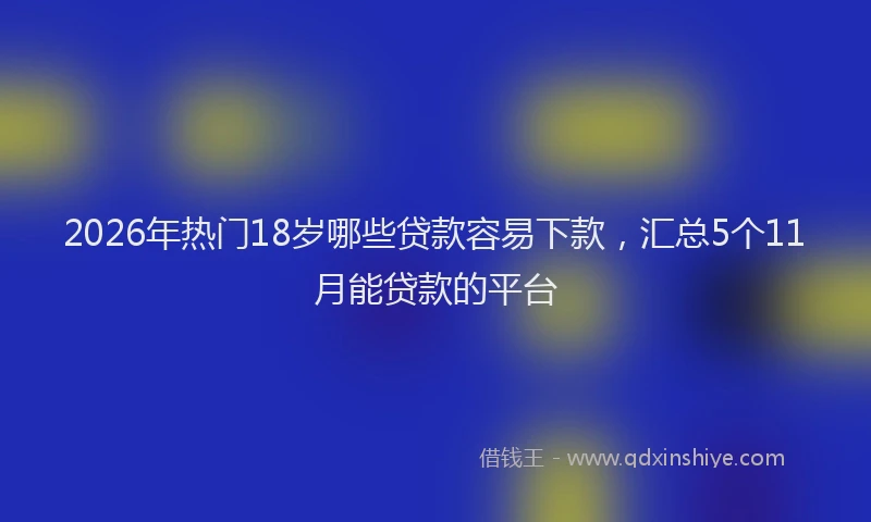 2026年热门18岁哪些贷款容易下款，汇总5个11月能贷款的平台