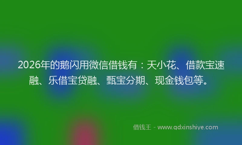 2026年的鹅闪用微信借钱有：天小花、借款宝速融、乐借宝贷融、甄宝分期、现金钱包等。
