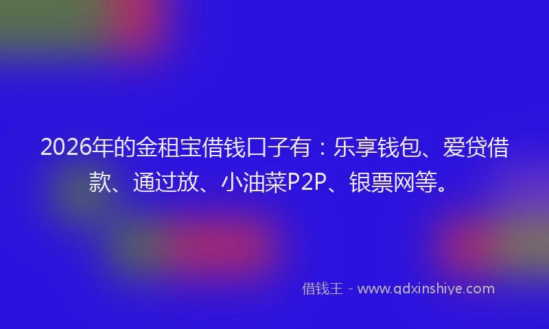 2026年的金租宝借钱口子有：乐享钱包、爱贷借款、通过放、小油菜P2P、银票网等。