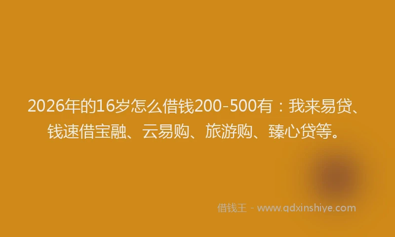 2026年的16岁怎么借钱200-500有：我来易贷、钱速借宝融、云易购、旅游购、臻心贷等。
