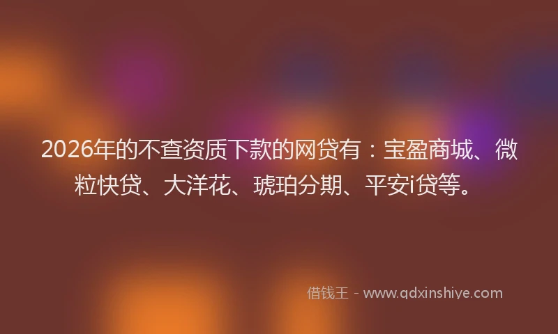 2026年的不查资质下款的网贷有：宝盈商城、微粒快贷、大洋花、琥珀分期、平安i贷等。