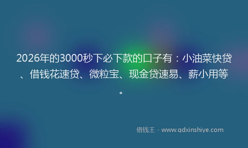 2026年的3000秒下必下款的口子有：小油菜快贷、借钱花速贷、微粒宝、现金贷速易、薪小用等。