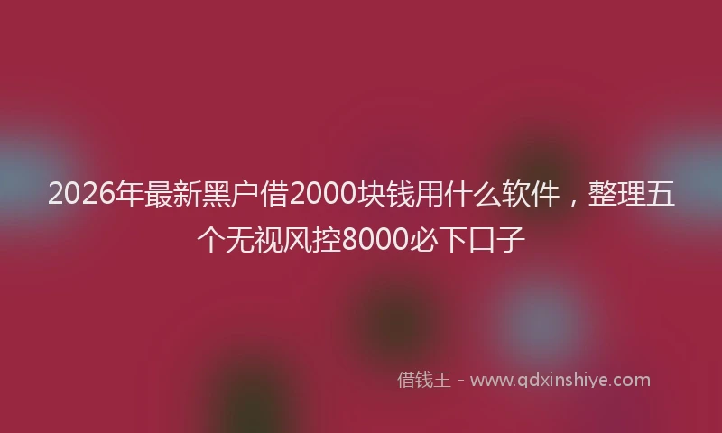2026年最新黑户借2000块钱用什么软件，整理五个无视风控8000必下口子