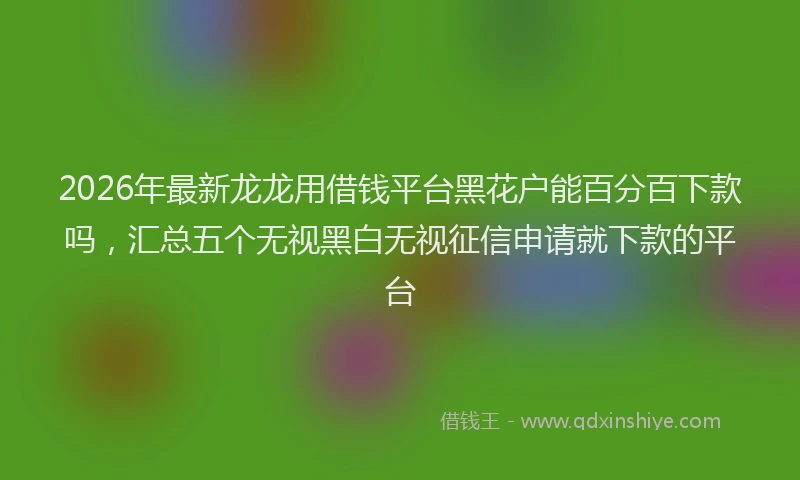 2026年最新龙龙用借钱平台黑花户能百分百下款吗，汇总五个无视黑白无视征信申请就下款的平台