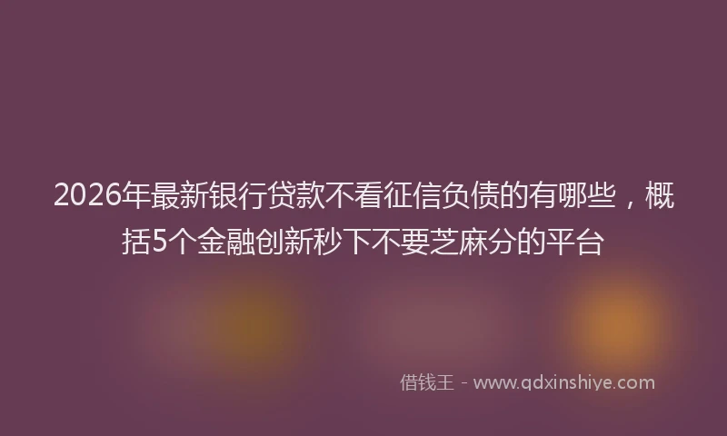 2026年最新银行贷款不看征信负债的有哪些，概括5个金融创新秒下不要芝麻分的平台