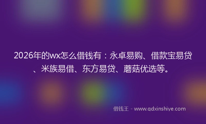 2026年的wx怎么借钱有：永卓易购、借款宝易贷、米族易借、东方易贷、蘑菇优选等。