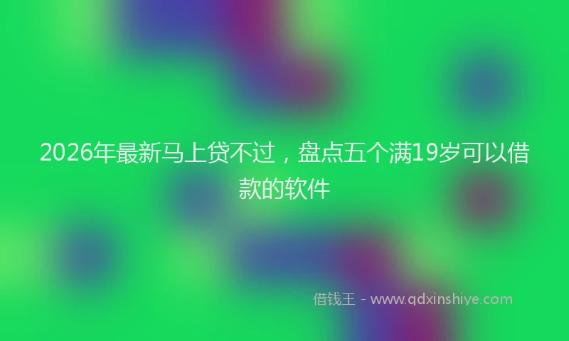 2026年最新马上贷不过，盘点五个满19岁可以借款的软件