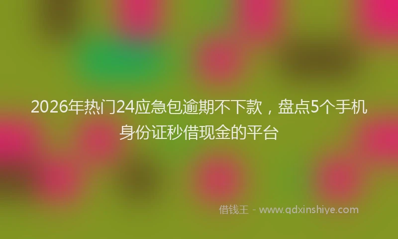 2026年热门24应急包逾期不下款，盘点5个手机身份证秒借现金的平台
