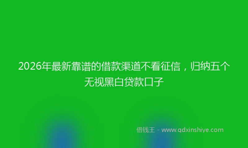 2026年最新靠谱的借款渠道不看征信，归纳五个无视黑白贷款口子
