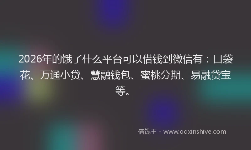 2026年的饿了什么平台可以借钱到微信有：口袋花、万通小贷、慧融钱包、蜜桃分期、易融贷宝等。