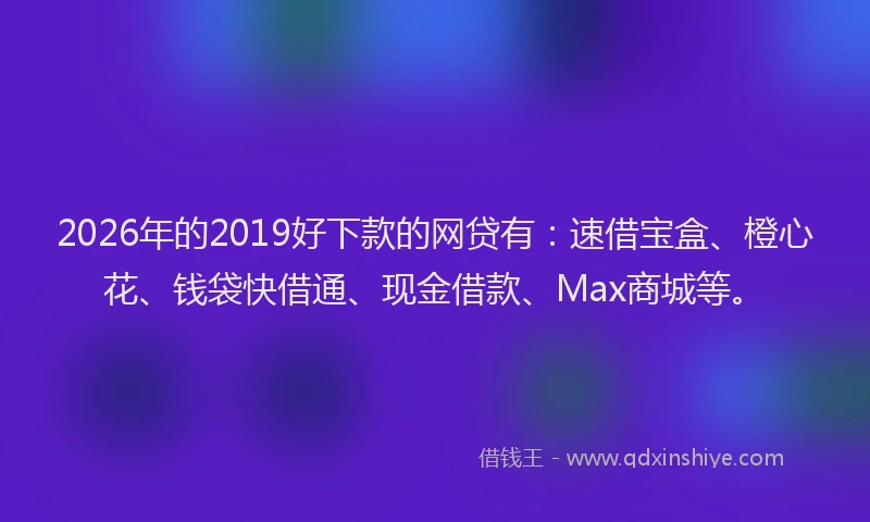 2026年的2019好下款的网贷有：速借宝盒、橙心花、钱袋快借通、现金借款、Max商城等。
