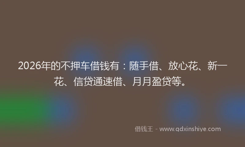 2026年的不押车借钱有：随手借、放心花、新一花、信贷通速借、月月盈贷等。