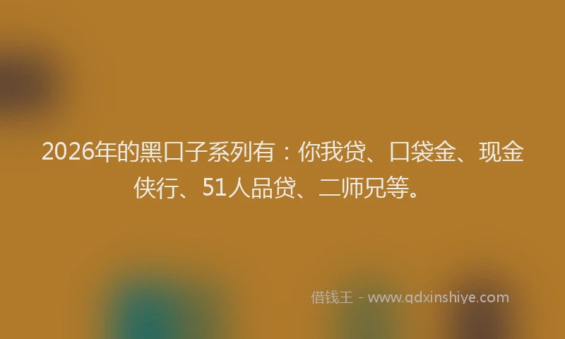 2026年的黑口子系列有：你我贷、口袋金、现金侠行、51人品贷、二师兄等。