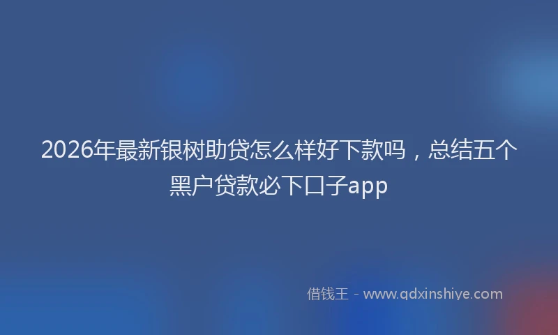 2026年最新银树助贷怎么样好下款吗，总结五个黑户贷款必下口子app