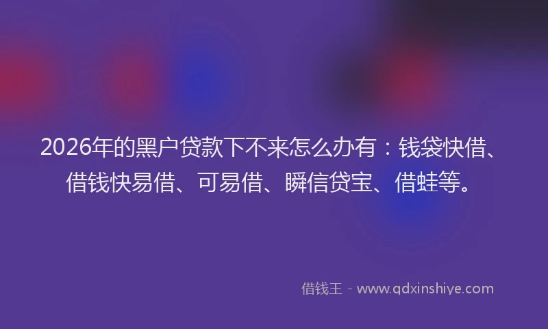 2026年的黑户贷款下不来怎么办有：钱袋快借、借钱快易借、可易借、瞬信贷宝、借蛙等。